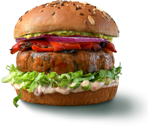 Black Bean Veggie Burger Pouches (18 Total Black Bean Burgers)